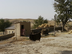 Oezbekistan 06 Village