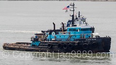 ATLANTIC SALVOR Tugboat, 2016 Fleet Week New York