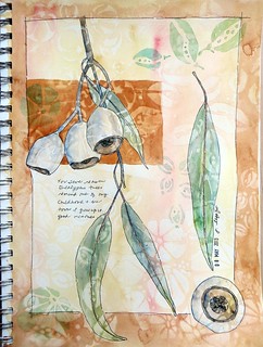 from my sketchbook ~ pods and leaves