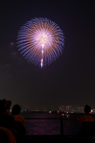 「昇小花 八重芯 錦牡丹 先青光露」 by 堀米三郎 東京湾大華火 2013 Tokyo Bay Grand Fireworks