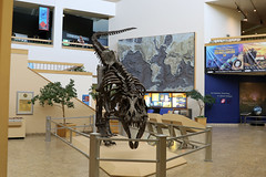 Albuquerque - Museum of Natural History, New Mexico