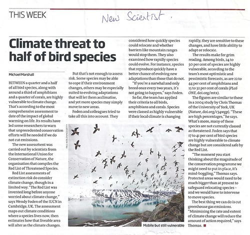 New Scientist predicts up to half bird species lost to global warming by CadoganEnright