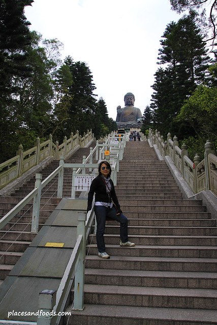 tian tan big buddha 240 steps