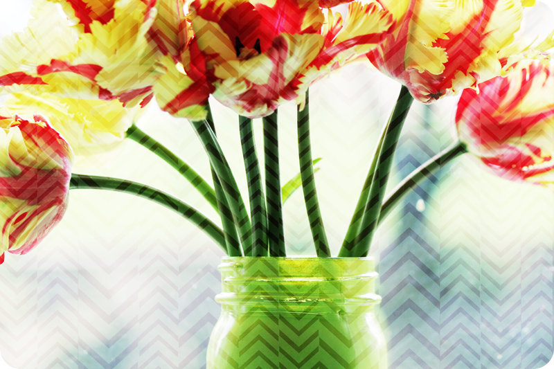 {april} these days | tulips in mason jar
