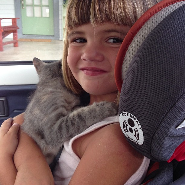 On our way to Pepples' first vet visit. Bea insisted on holding her. She's such a good little kitty mama.