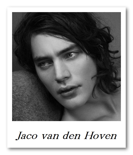 Image_Jaco van den Hoven