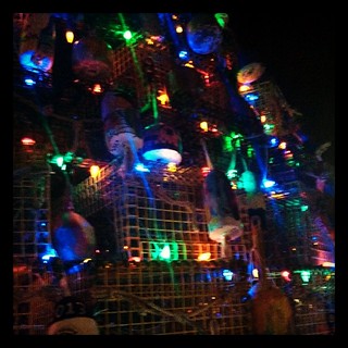 Close up of the Lobster Pot Christmas Tree #lobsterpot #lights #gloucester #home