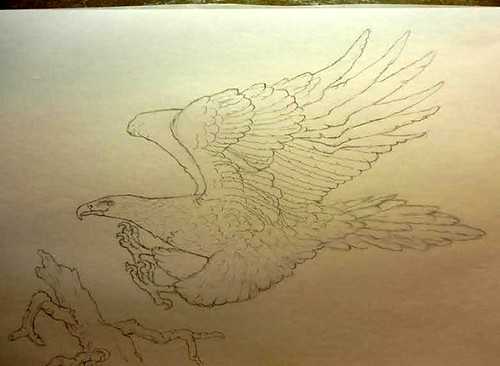 Mercanti Wedge-tail Eagle design