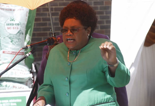 Republic of Zimbabwe Vice-President Joice Mujuru has condemned the re-emergence of Renamo in Mozambique as a rebel organization. by Pan-African News Wire File Photos