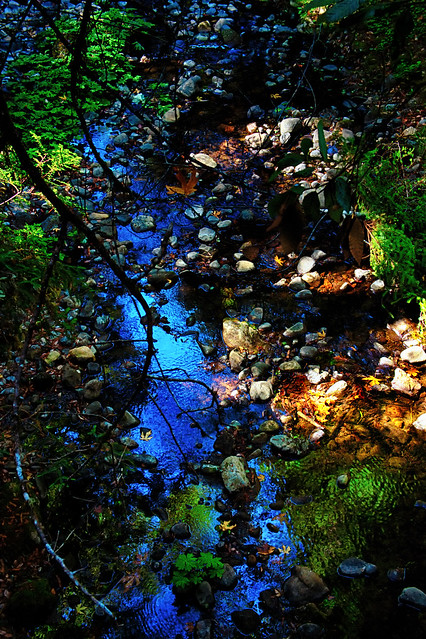 Creek Blue