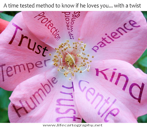 flower-test.jpg