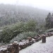 Nieve en La Cumbre de Gran Canaria (09-01-2014)