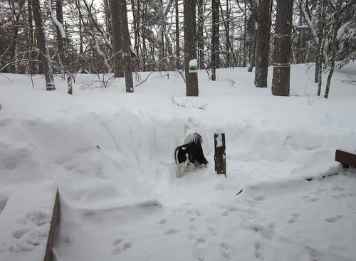 一部雪掻きした庭とベランダ　2014年12月15日10: 24 by Poran111