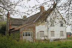 Norfolk,Thatch Cottage, April 2014