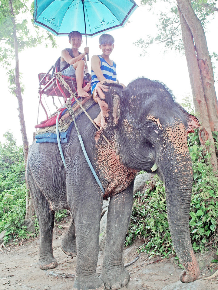 phuket elephant riding typicalben 9