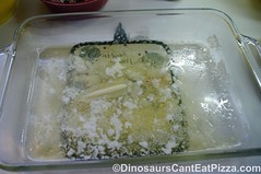 Chicken Dumpling Casserole (4)
