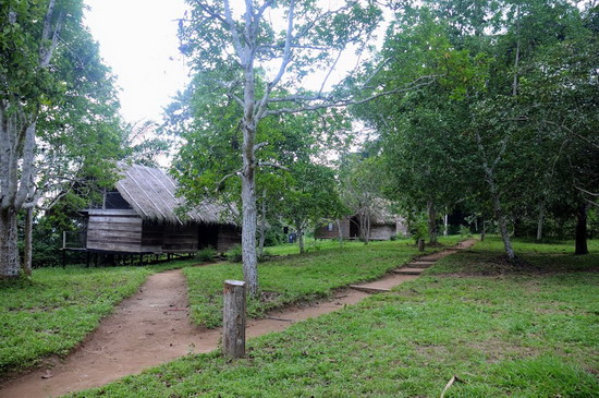 Pigmeos y Gorilas, un paseo por la selva centroafricana - Blogs de Centro Africa R. - 7.- Seguimos en ruta hacia la RCA. (7)