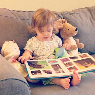 I know I've posted a dozen pictures of her reading but...here's another one.