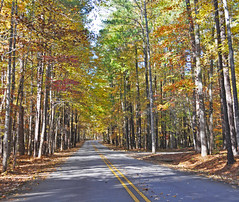 William B. Umstead State Park - North Carolina 2013
