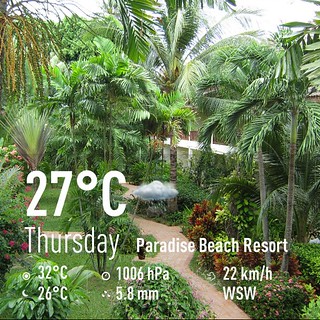今日のサムイ島　9月19日メナムの老舗リゾート－パラダイスビーチリゾート