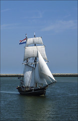 Ostend at Anchor  2016