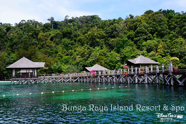Travel & Living Journal of DT: Exclusive Day Trip to Bunga Raya Island