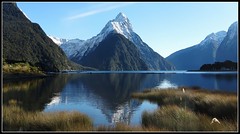Fiordland National Park, Queenstown, and Milford Sound