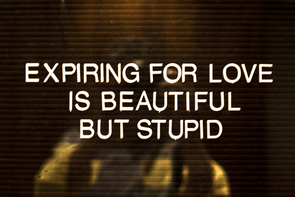 expiring for love is beautiful but stupid