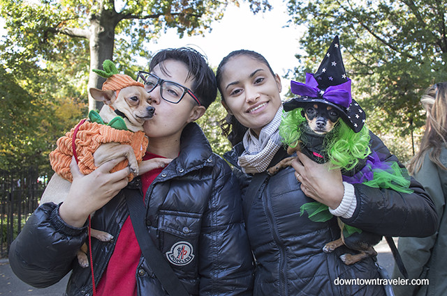 Halloween Dog Costume_Reptar the Pumpkin_Lola the Witch_Chihiuahua