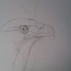 Start of new drawing :-)