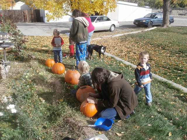 Colorado Activities - Pumpkin Carving in Palisade