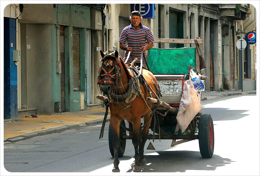 horse carriage ciudad vieja