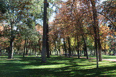 Madrid Retiro Park 2013