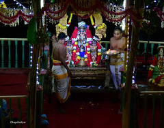 Sri Adi KesavaPerumal Theppotsavam