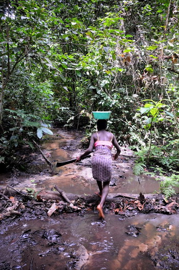13.- Viviendo la selva - Pigmeos y Gorilas, un paseo por la selva centroafricana (4)