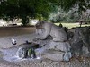 1] Biella (BI) - Giardini Zumaglini: fontana dell'orso