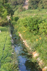 苗栗的灌溉溝圳。