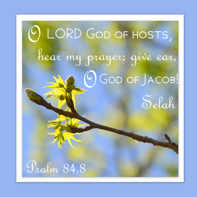 Psalm 84.8