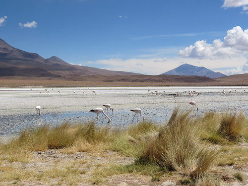 3rd day of the Uyuni Salt Flats