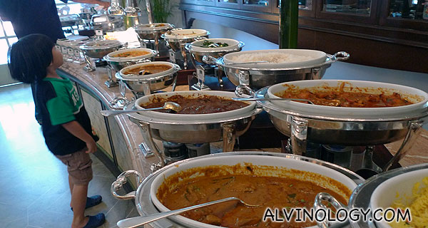 Large variety of curry dishes 