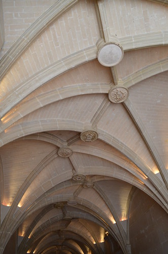 Chateau de Chenonceau arched ceiling