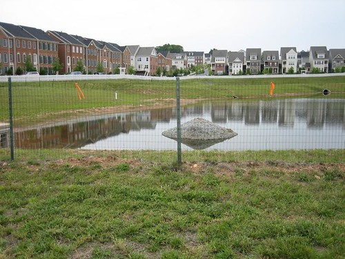 Image of a wet pond in front of a row of townhomes.