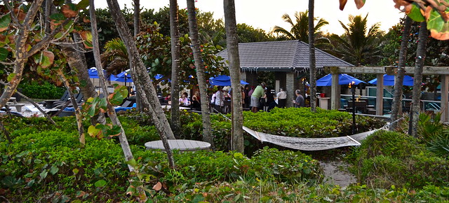 Florida beach and pool bar of the jupiter beach resort restaurant