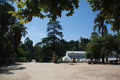 Jardim botânico de Coimbra