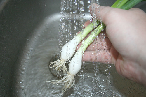 13 - Frühlingszwiebeln waschen / Wash spring onions