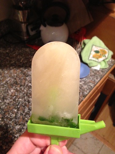 My man made mojitos...in a POPSICLE! by gmwnet