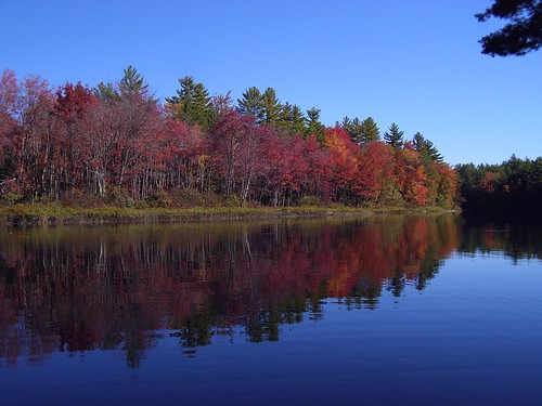 2013_0928Ossipee-River-Foliage0009 by maineman152 (Lou)