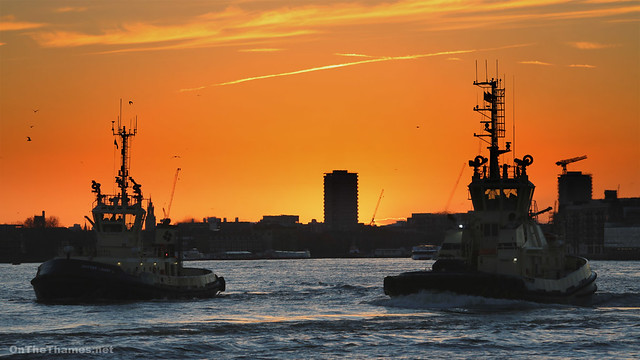 Two tugs at sunset