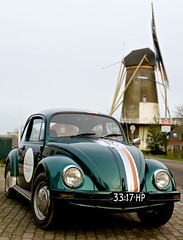 Dutch Beetle