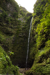 Madeira island landscape/nature